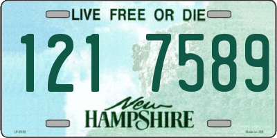 NH license plate 1217589