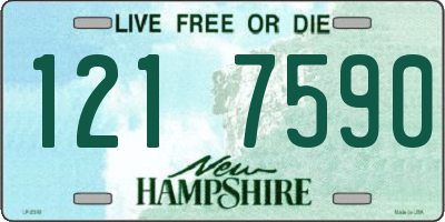 NH license plate 1217590