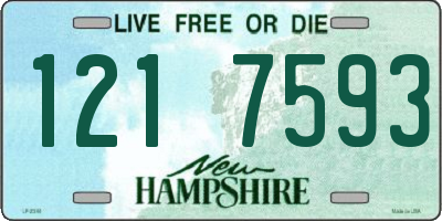 NH license plate 1217593