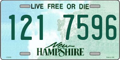 NH license plate 1217596