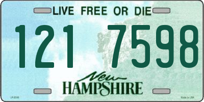 NH license plate 1217598