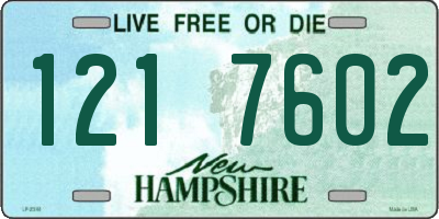NH license plate 1217602