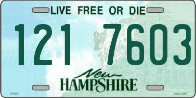 NH license plate 1217603
