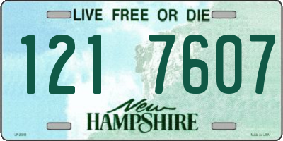 NH license plate 1217607