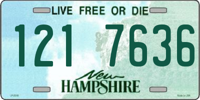 NH license plate 1217636