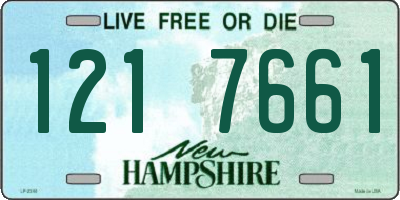 NH license plate 1217661