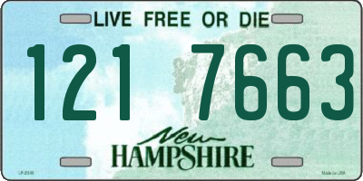 NH license plate 1217663