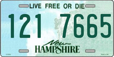 NH license plate 1217665