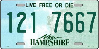 NH license plate 1217667