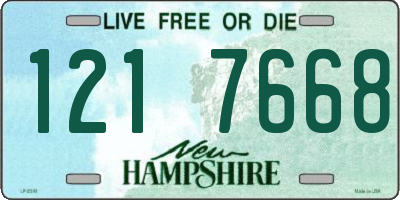 NH license plate 1217668