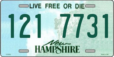 NH license plate 1217731