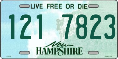NH license plate 1217823