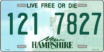 NH license plate 1217827