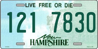 NH license plate 1217830