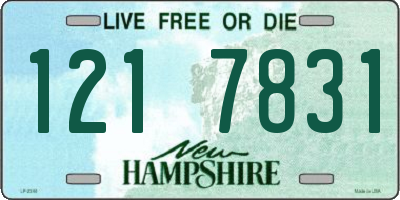 NH license plate 1217831