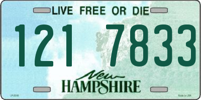 NH license plate 1217833