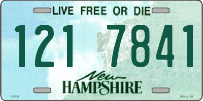 NH license plate 1217841