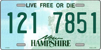 NH license plate 1217851