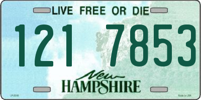 NH license plate 1217853