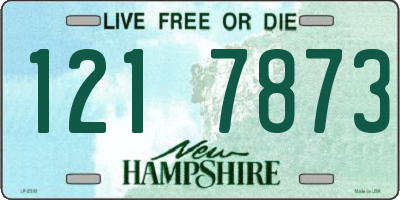 NH license plate 1217873
