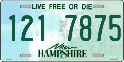 NH license plate 1217875