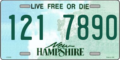 NH license plate 1217890