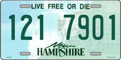 NH license plate 1217901