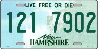 NH license plate 1217902