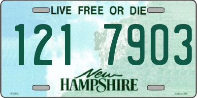 NH license plate 1217903