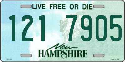 NH license plate 1217905