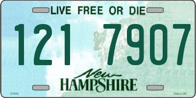 NH license plate 1217907