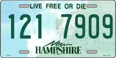 NH license plate 1217909