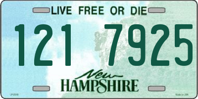 NH license plate 1217925