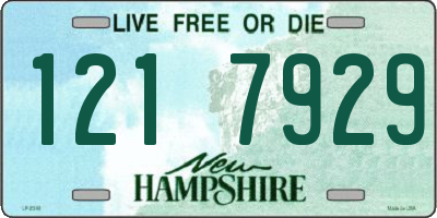 NH license plate 1217929
