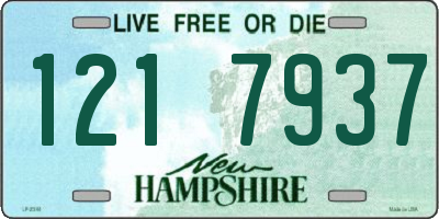 NH license plate 1217937