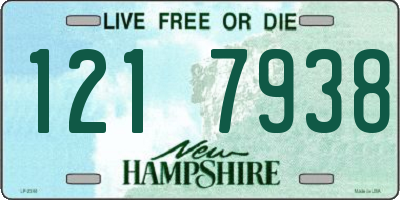 NH license plate 1217938