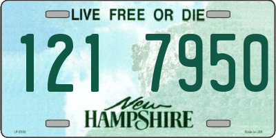 NH license plate 1217950