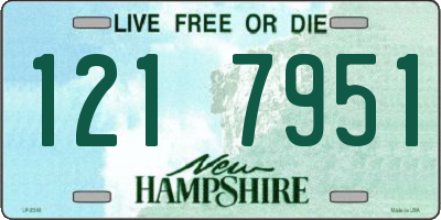 NH license plate 1217951