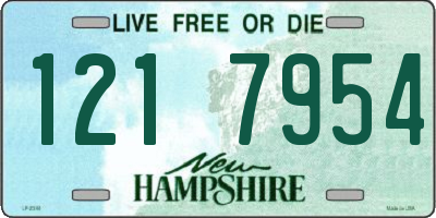NH license plate 1217954