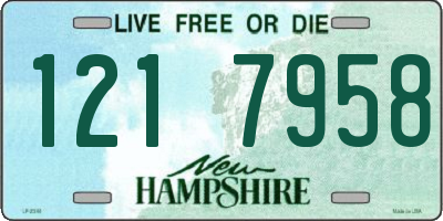 NH license plate 1217958