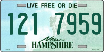 NH license plate 1217959