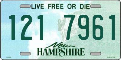 NH license plate 1217961