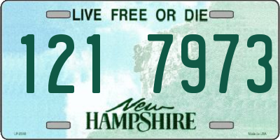 NH license plate 1217973