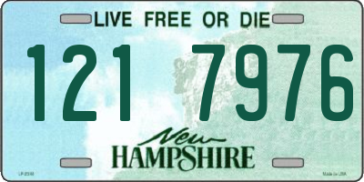 NH license plate 1217976