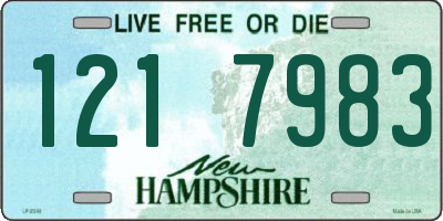 NH license plate 1217983