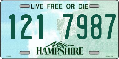 NH license plate 1217987