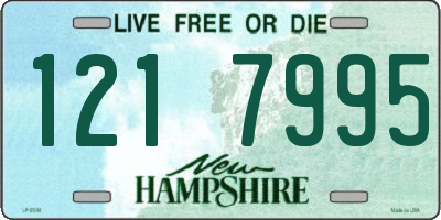 NH license plate 1217995