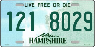 NH license plate 1218029