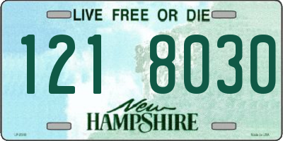 NH license plate 1218030
