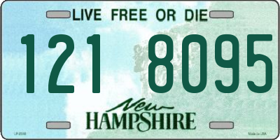 NH license plate 1218095